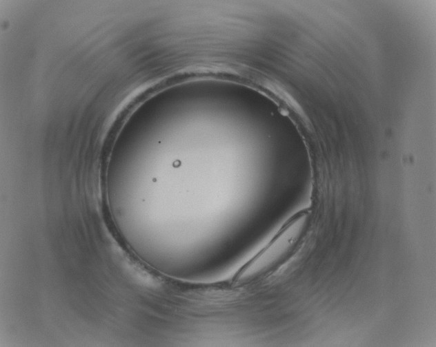 X0000076430984200610202240