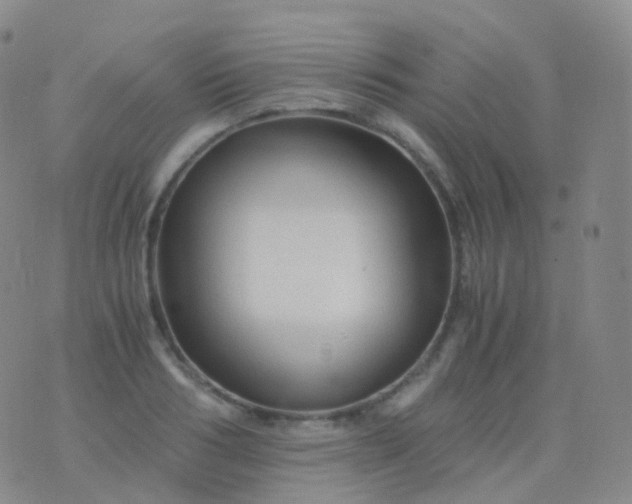 X0000076430986200610202240