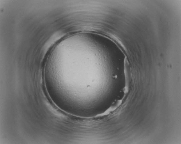 X0000076430987200610202240