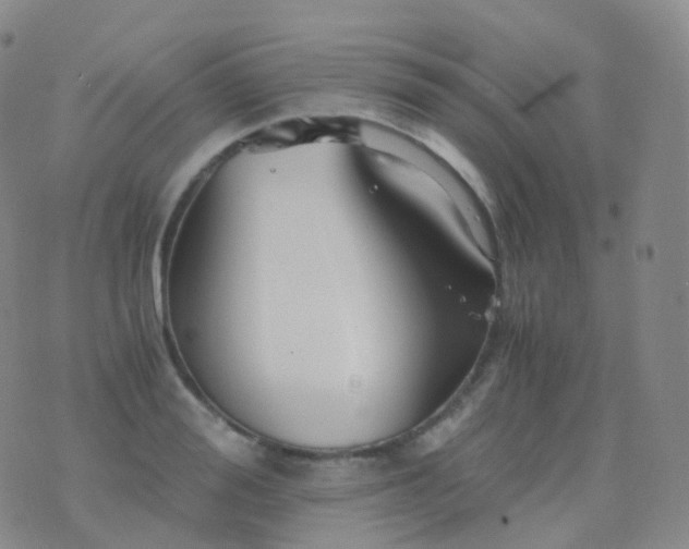 X0000076430988200610202240