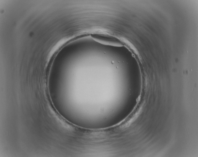 X0000076430989200610202240