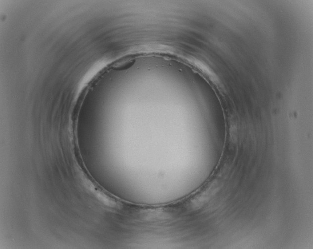 X0000076430990200610202240