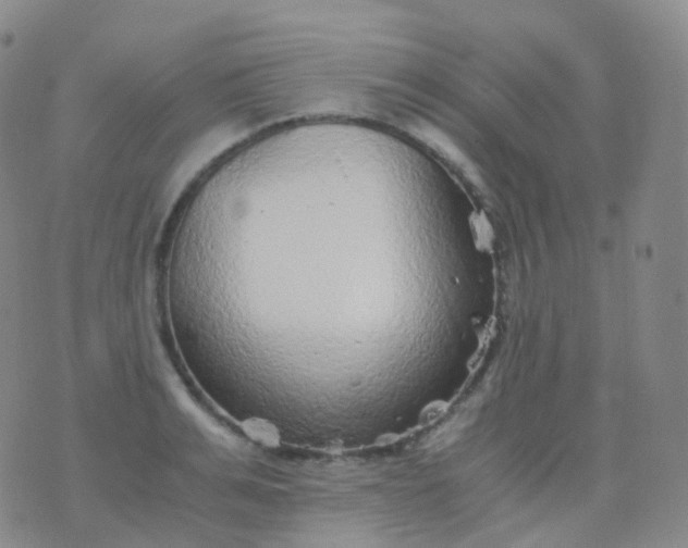 X0000076430991200610202240