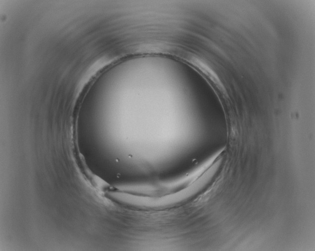 X0000076430992200610202240