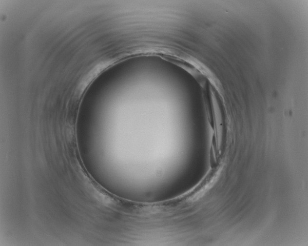 X0000076430993200610202240