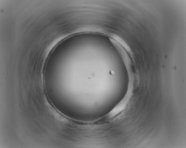 X0000076430996200610202240