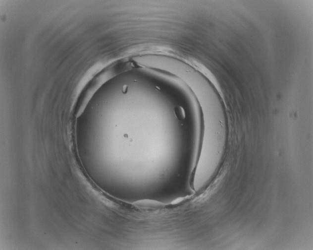 X0000076430997200610202240