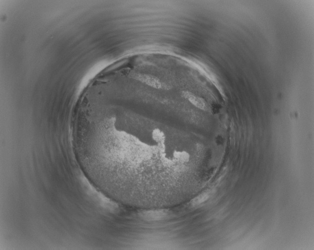 X0000076430998200610202240