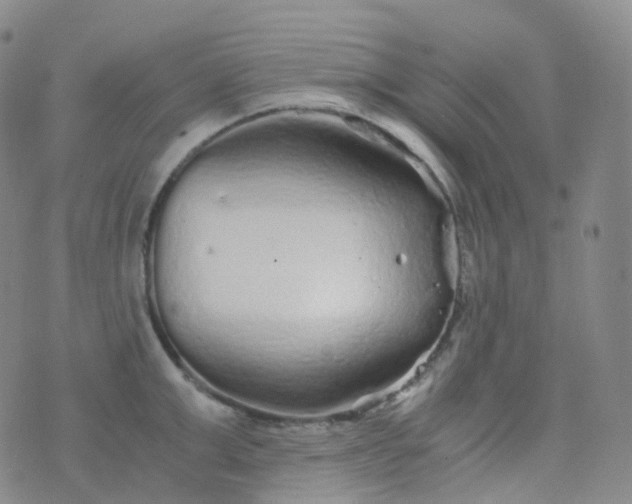 X0000076430999200610202240