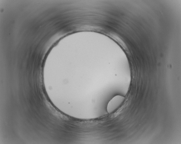 X0000076431000200610202240