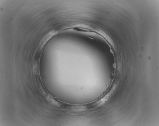 X0000076431001200610202240