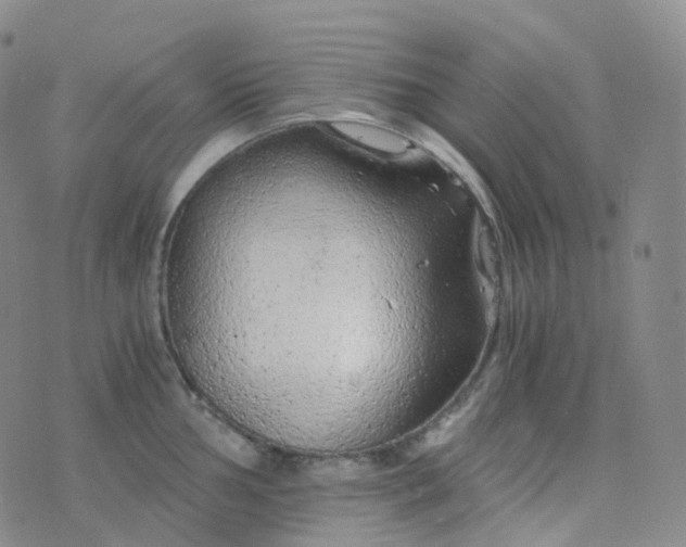 X0000076431002200610202240