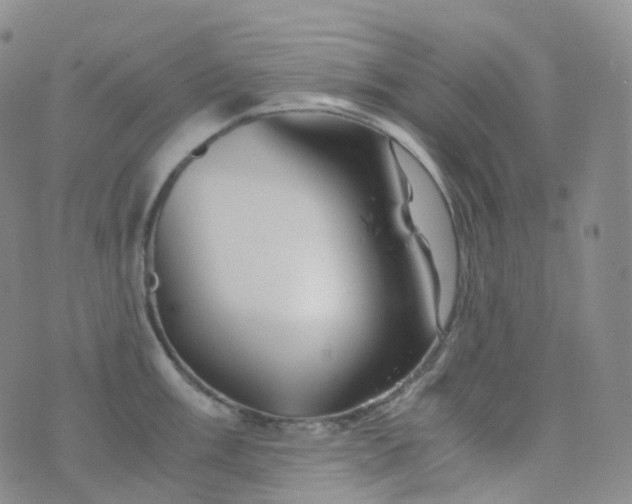 X0000076431003200610202240