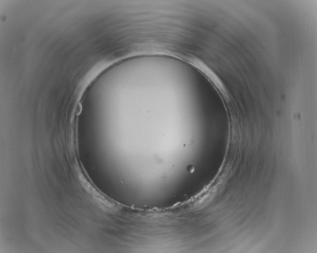 X0000076431004200610202240