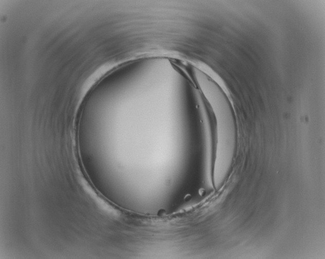 X0000076431005200610202240