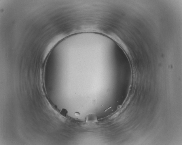 X0000076431006200610202240