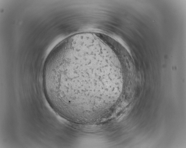 X0000076431007200610202240