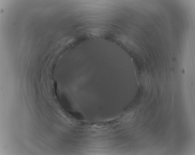 X0000076431009200610202239