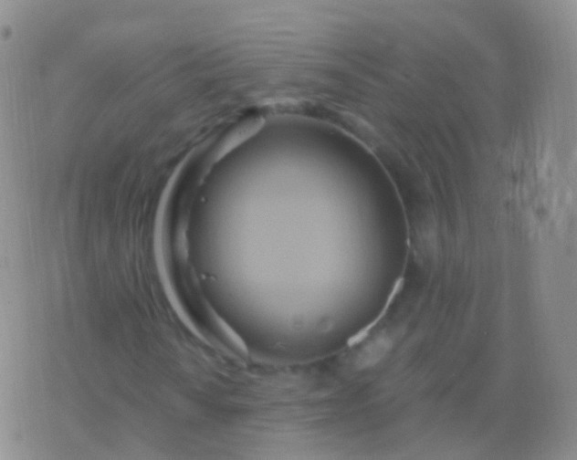 X0000076431010200610202239