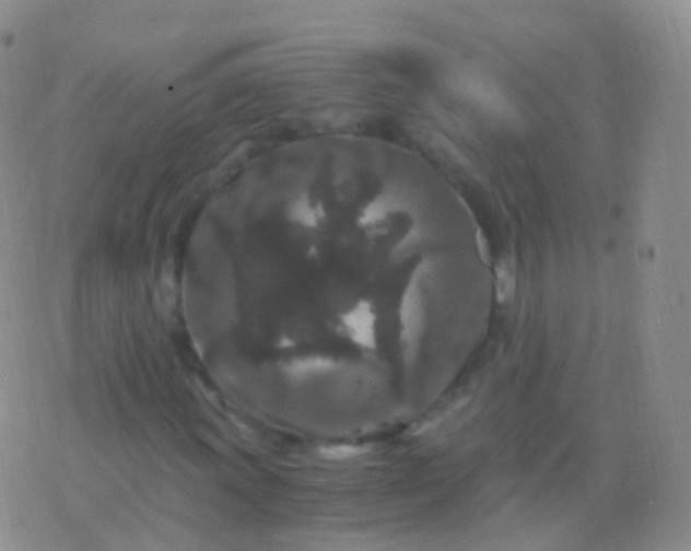 X0000076431011200610202239