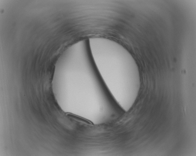 X0000076431012200610202239