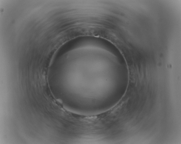 X0000076431013200610202239