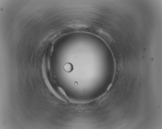 X0000076431014200610202239