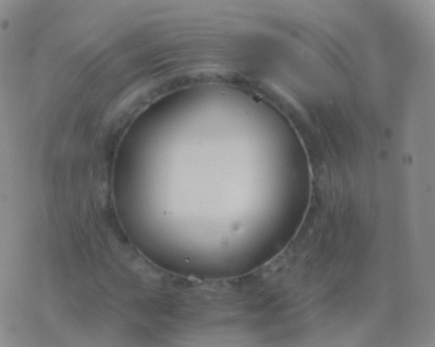 X0000076431015200610202239