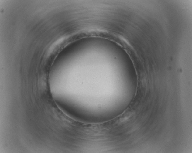 X0000076431016200610202239