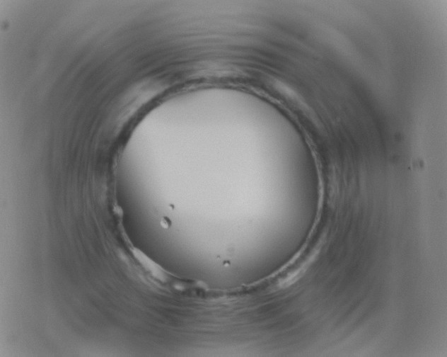 X0000076431017200610202239