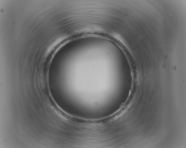 X0000076431018200610202239