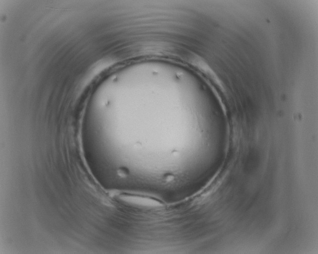 X0000076431019200610202239