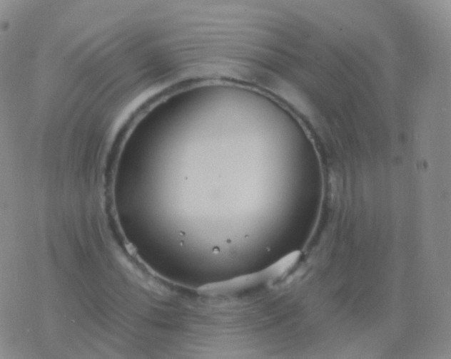 X0000076431020200610202239