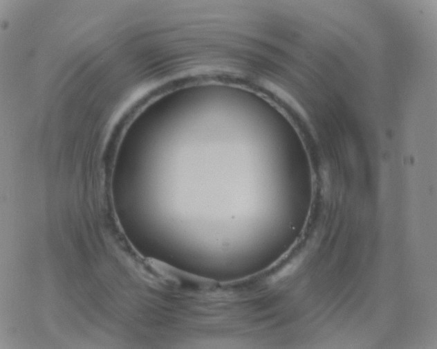 X0000076431021200610202239