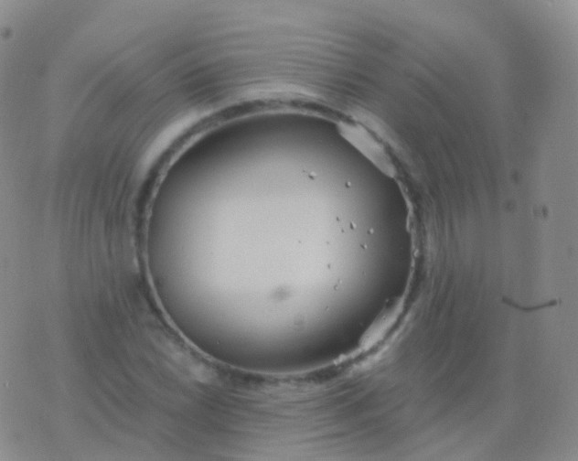 X0000076431022200610202239