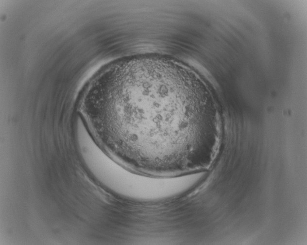 X0000076431023200610202239