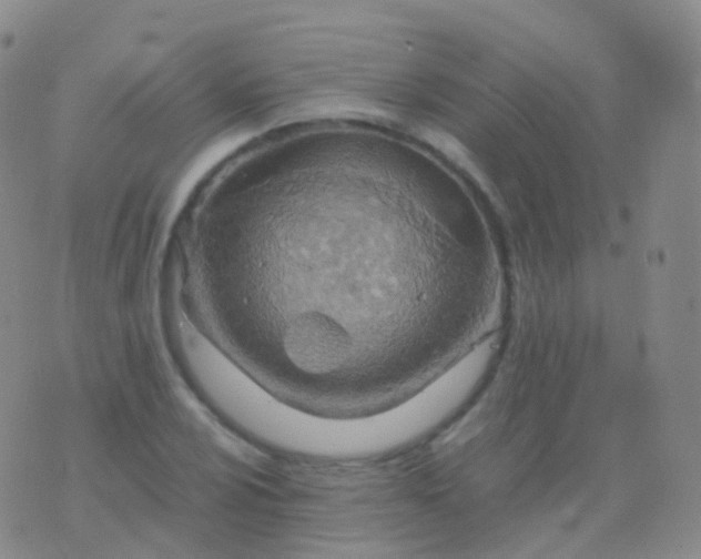 X0000076431024200610202239