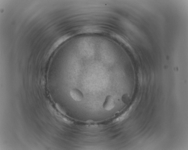 X0000076431025200610202239