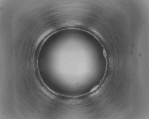 X0000076431026200610202240