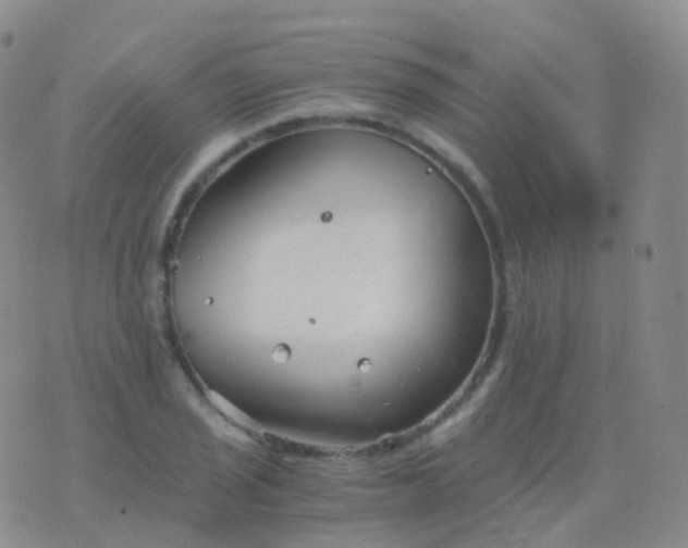 X0000076431029200610202240