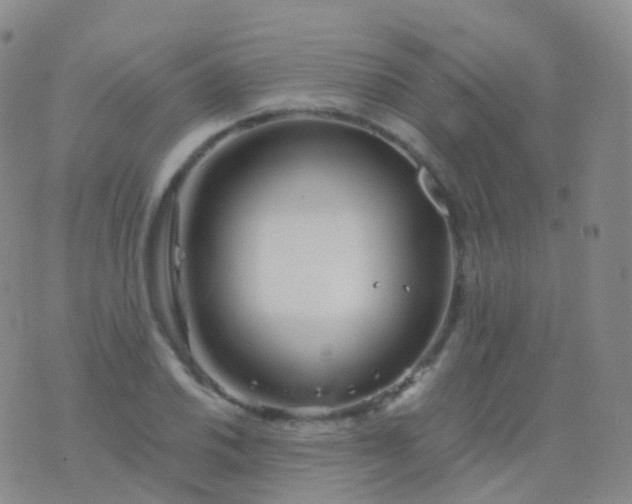 X0000076431030200610202240