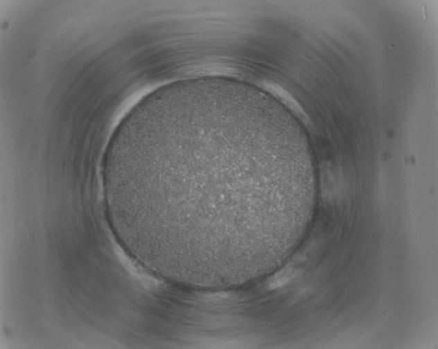 X0000076431031200610202240