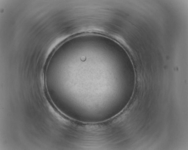 X0000076431032200610202240