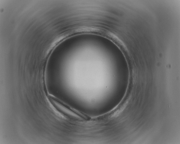 X0000076431033200610202240