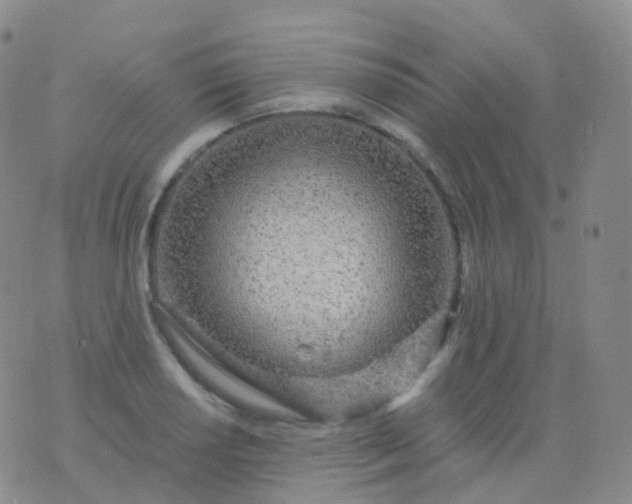 X0000076431034200610202240