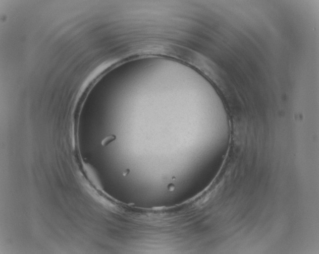 X0000076431036200610202240