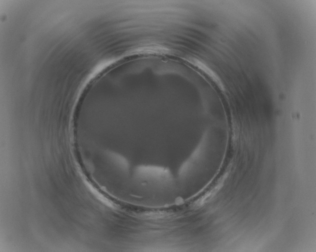 X0000076431037200610202240