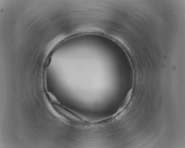 X0000076431038200610202240