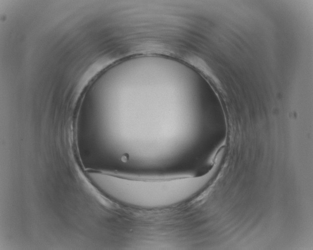 X0000076431040200610202240