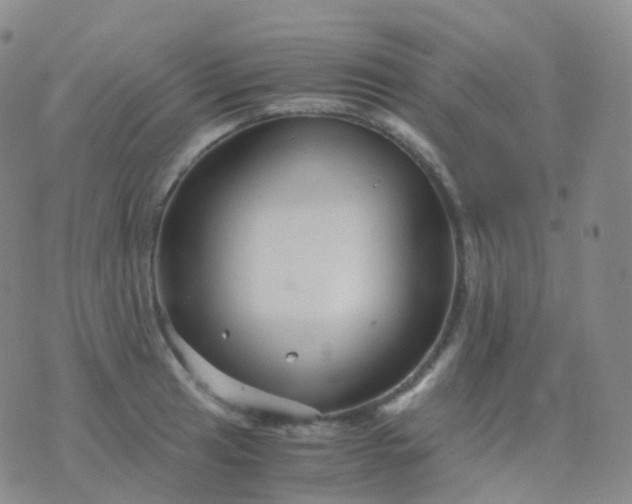 X0000076431041200610202240